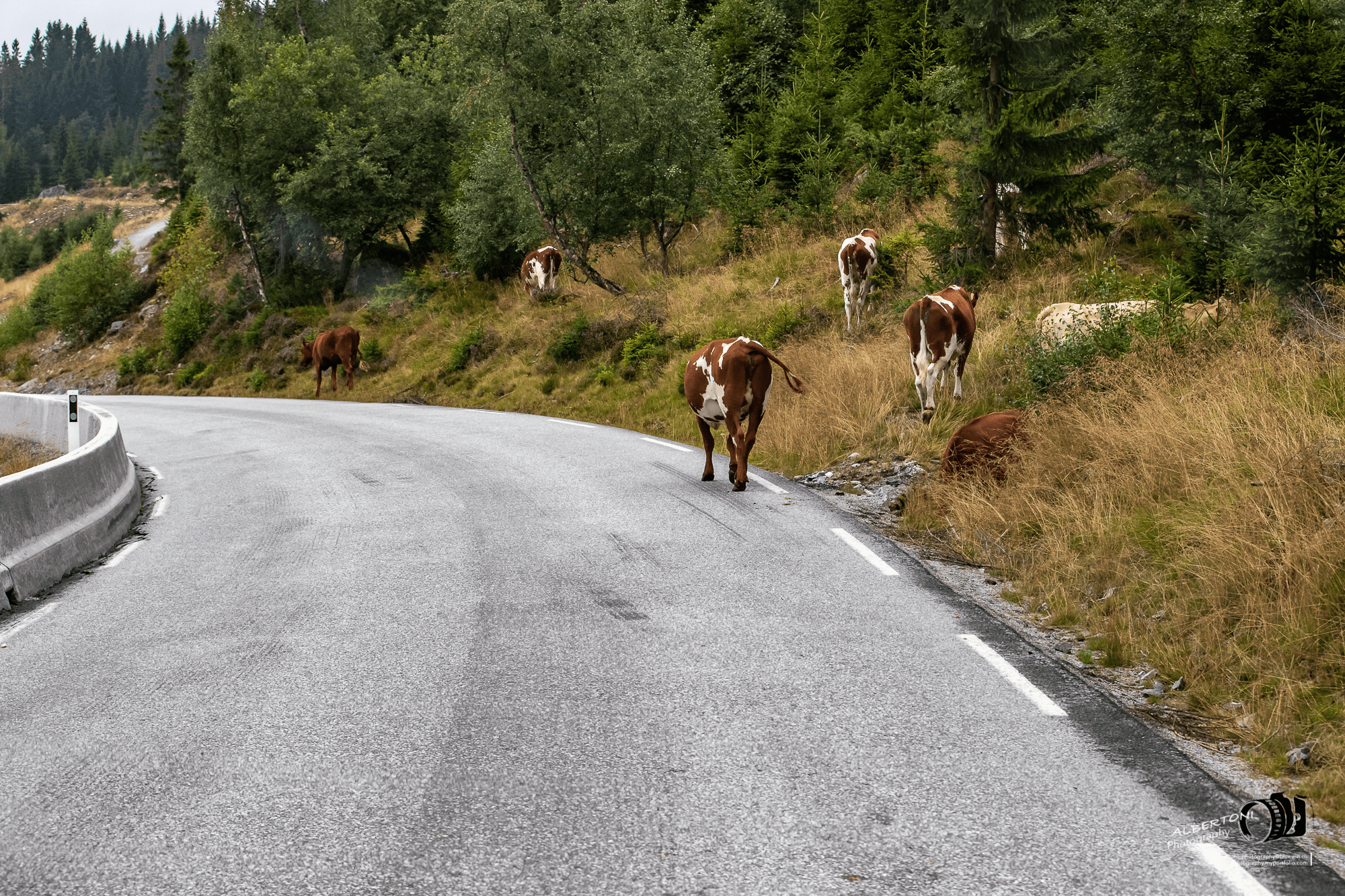Byrkjelo, Gloppen, Vestland, Norway