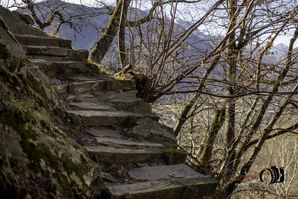 Castelliere, sentiero, Terre di Pedemonte, Tegna, Ticino, Svizzera