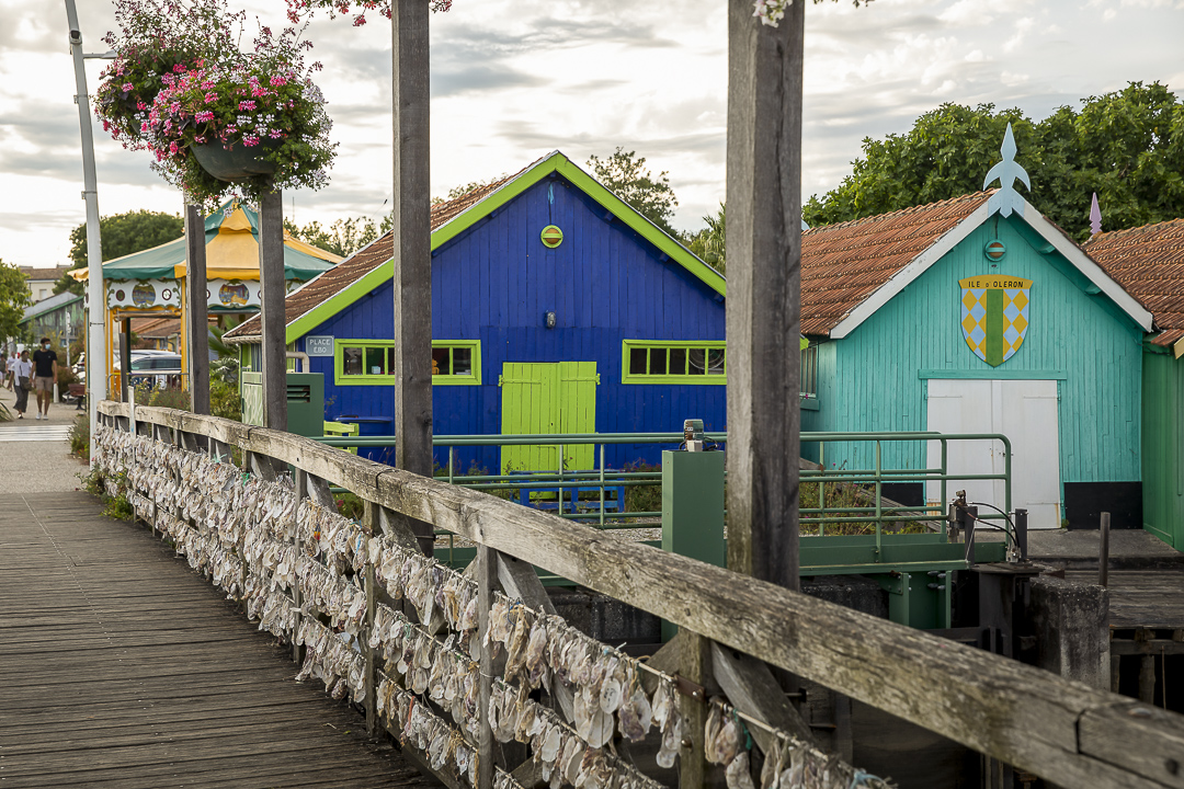 Château d'Oléron, porto, Charente-Maritime, France