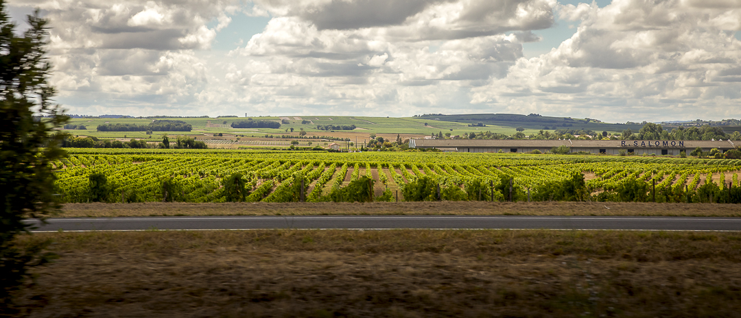 Bourg-Charente, Charente, France