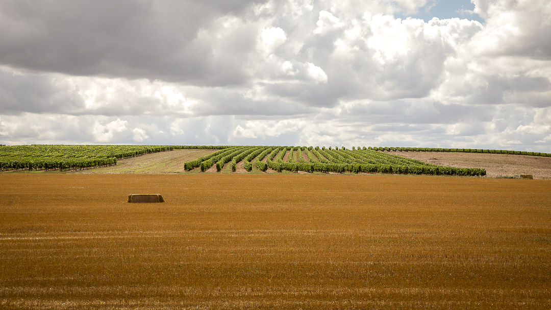 Cognac, Bourg-Charente, Charente, France