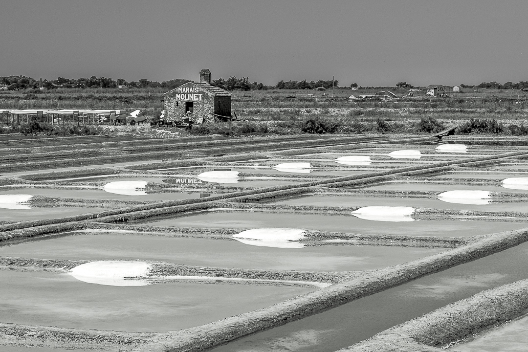 île de Ré, salina, Vendée, Francia