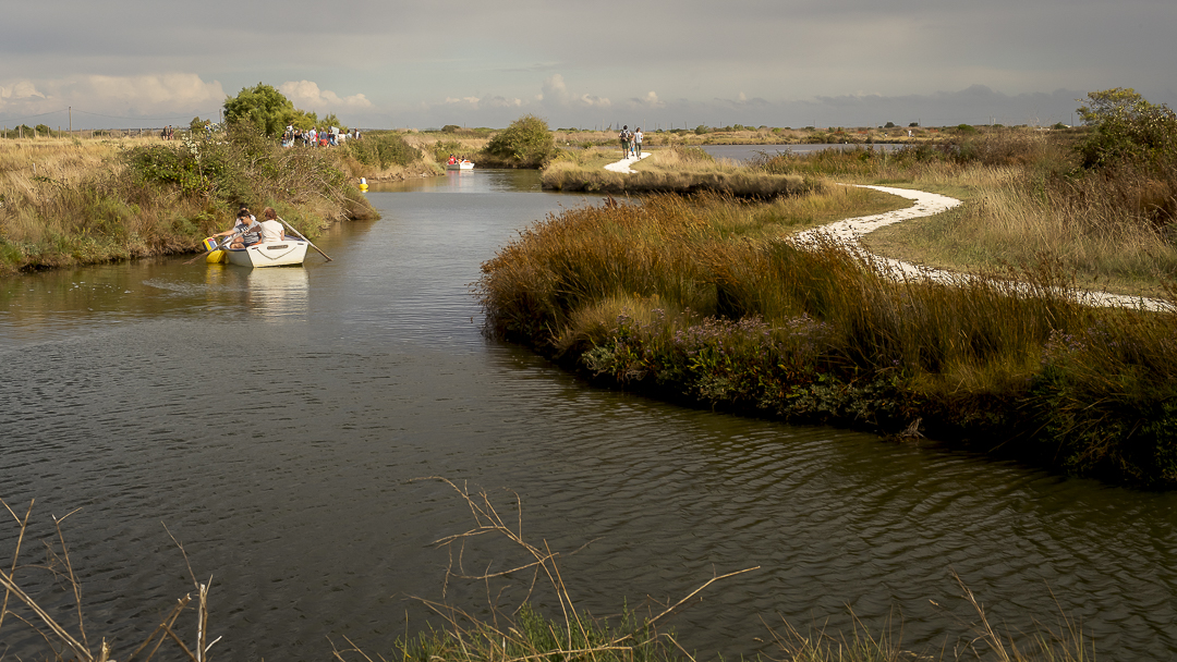Le-Grand-Village-Plage, Charente-Maritime, France