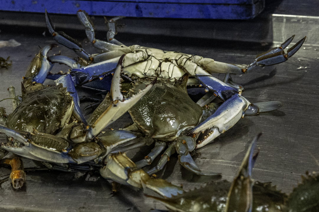 Olhao center, Portogallo