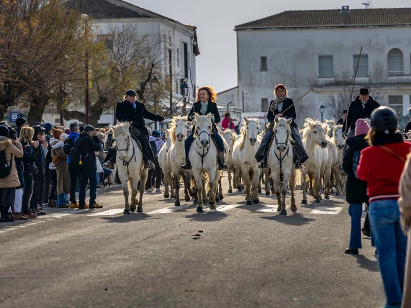 Saintes-Maries-de-la-Mer, Camargue