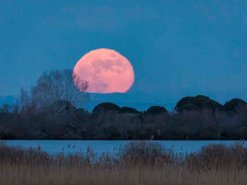 La luna del&nbsp;lupo